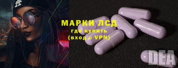ГАЛЛЮЦИНОГЕННЫЕ ГРИБЫ Аркадак