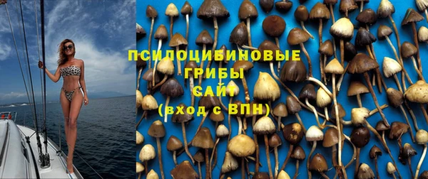 ГАЛЛЮЦИНОГЕННЫЕ ГРИБЫ Аркадак