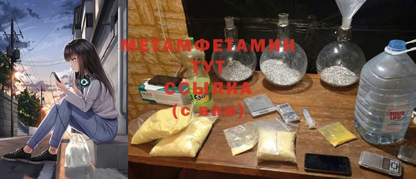 ГАЛЛЮЦИНОГЕННЫЕ ГРИБЫ Аркадак