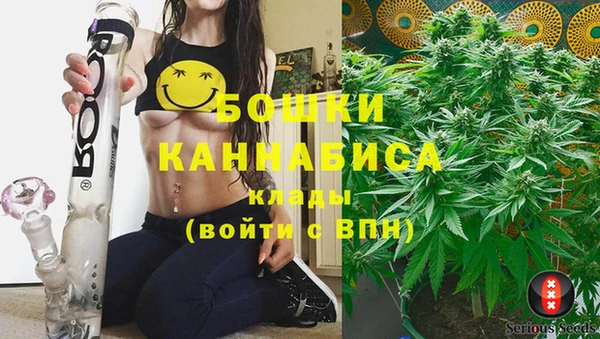ГАЛЛЮЦИНОГЕННЫЕ ГРИБЫ Аркадак