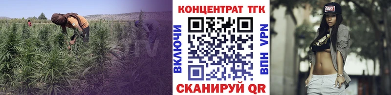 ТГК Wax  Мещовск 