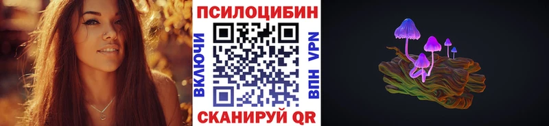 где можно купить   Мещовск  Псилоцибиновые грибы Cubensis 